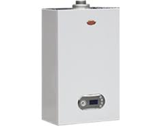 Котел газовый отопительный водогрейный Arderia D14, v3